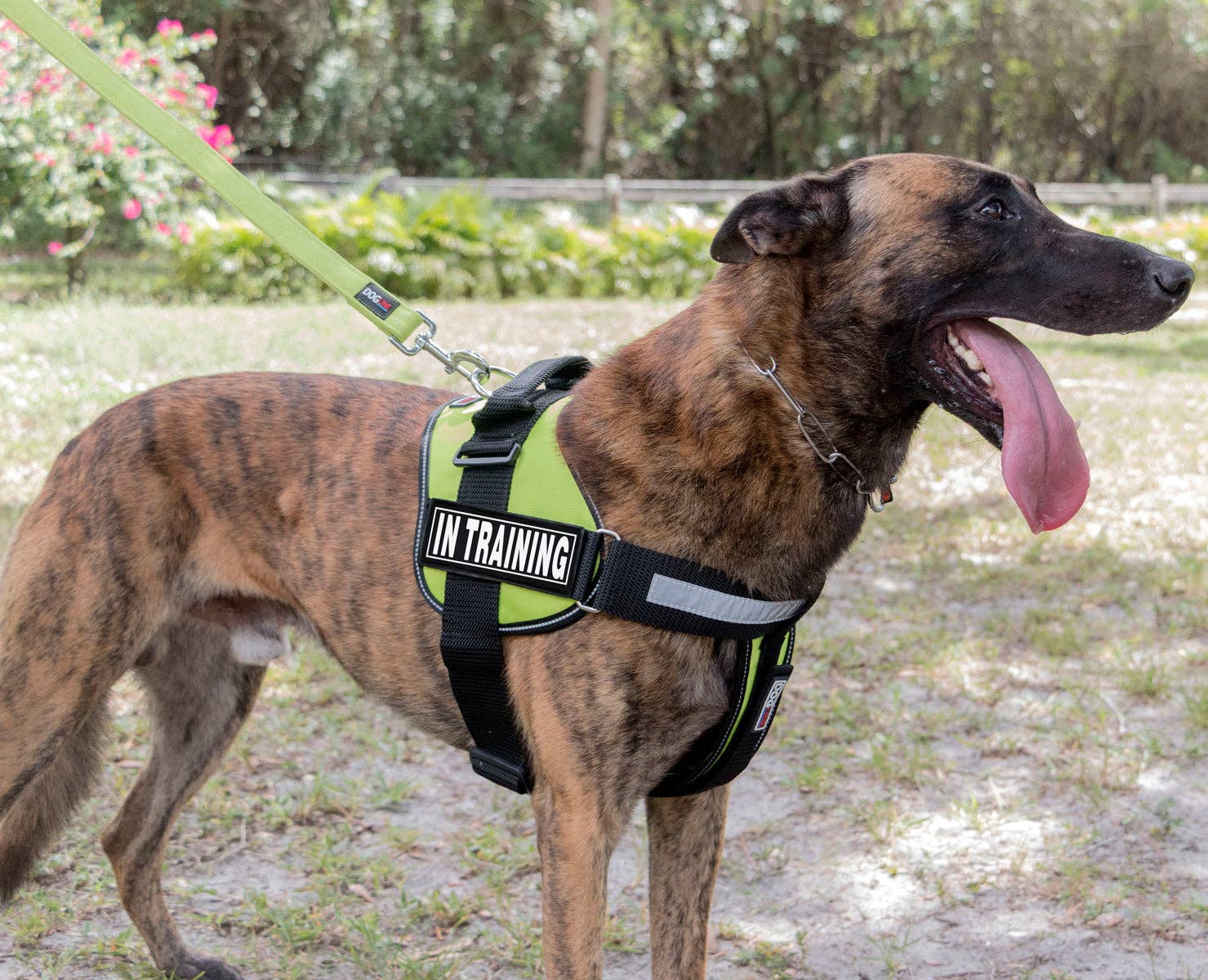 Dogline - Wholesale Tuig voor huisdieren - Hond - Dogline 3D rubberen verwijderbare patches voor hondentuig4