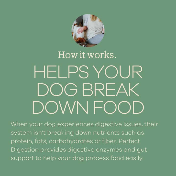 Yumwoof Natural Pet Food - Wholesale Pet Supplement - Dog - Perfect Digestion 3