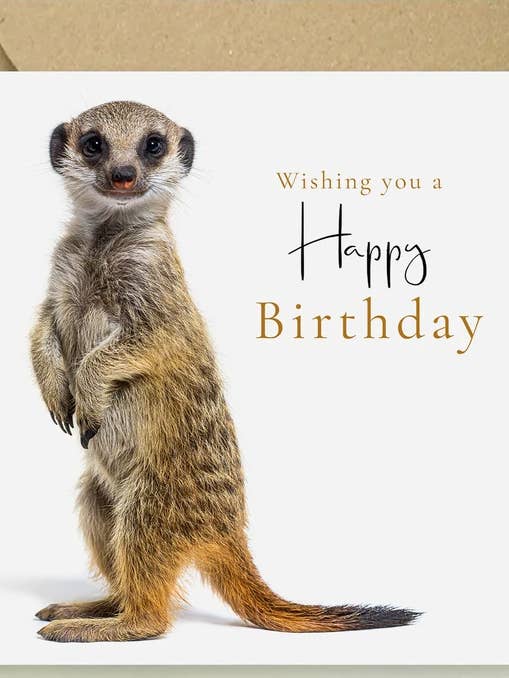 Suricate - Je te souhaite un anniversaire pour la vente par The Wildlife Library