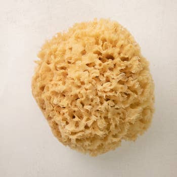WHOA. Ultra Soft & Really Really Big Sea Wool Bath Sponge - Jade and Pearl