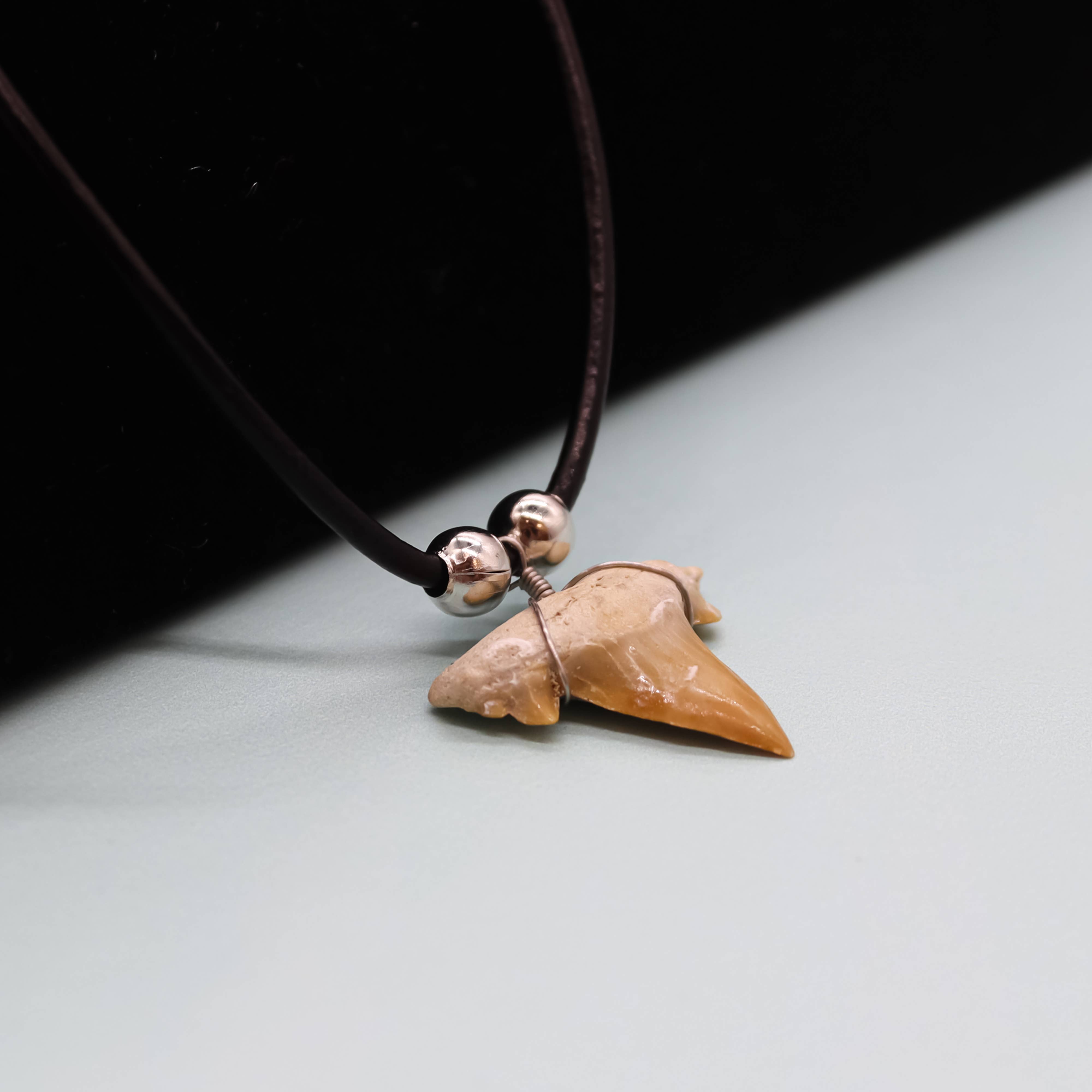 Natalia - Wholesale Pendant/Charm Necklace - Shark Tooth Necklace - Fossil Sharks Teeth with Leather Cord10