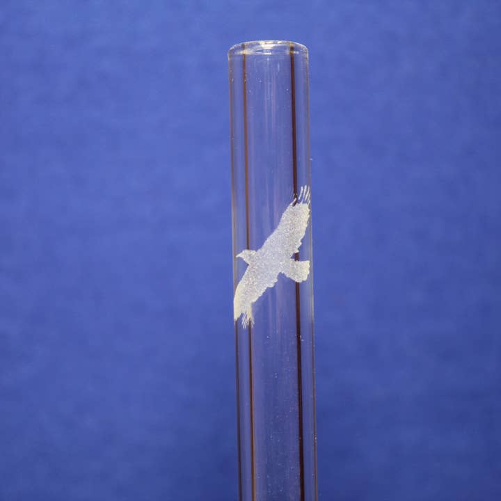 Ætset krageglasstrå med rengøringsbørste for engroshandel hos DrinkingStraws.Glass LLC