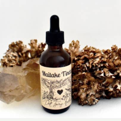 Maitake Tincture for wholesale by Oak Fairy Apothecary