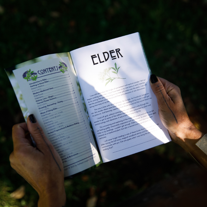 Herbal Revolution Farm + Apothecary - Vendita all'ingrosso Libro su natura e attività all'aria aperta - Zine di erboristeria di Kathi Langelier4