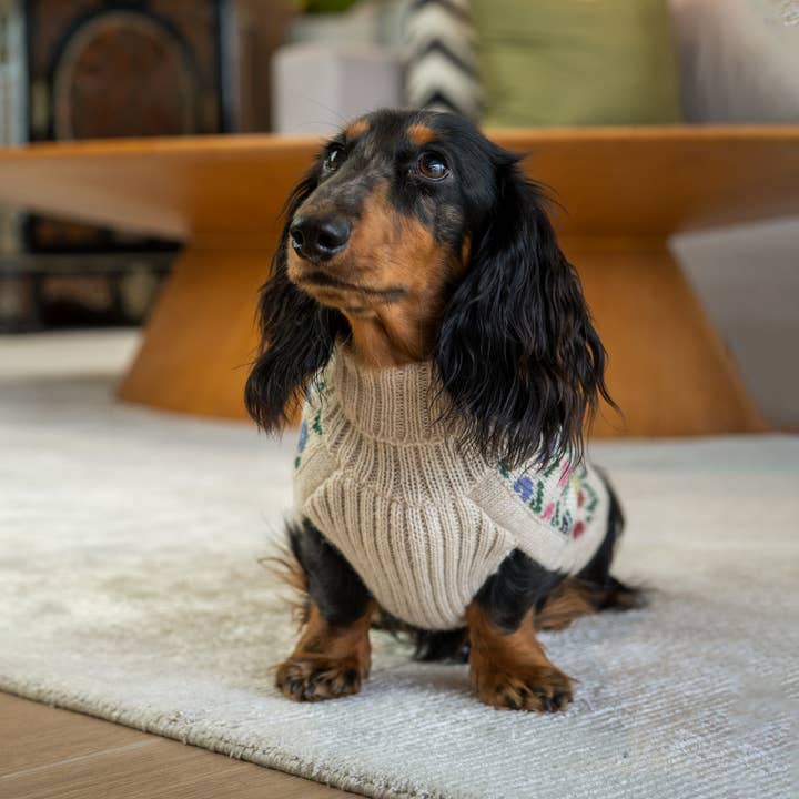 Alqo Wasi - Wholesale Pet Sweater - Dog - Flower Alpaca Dog Sweater5