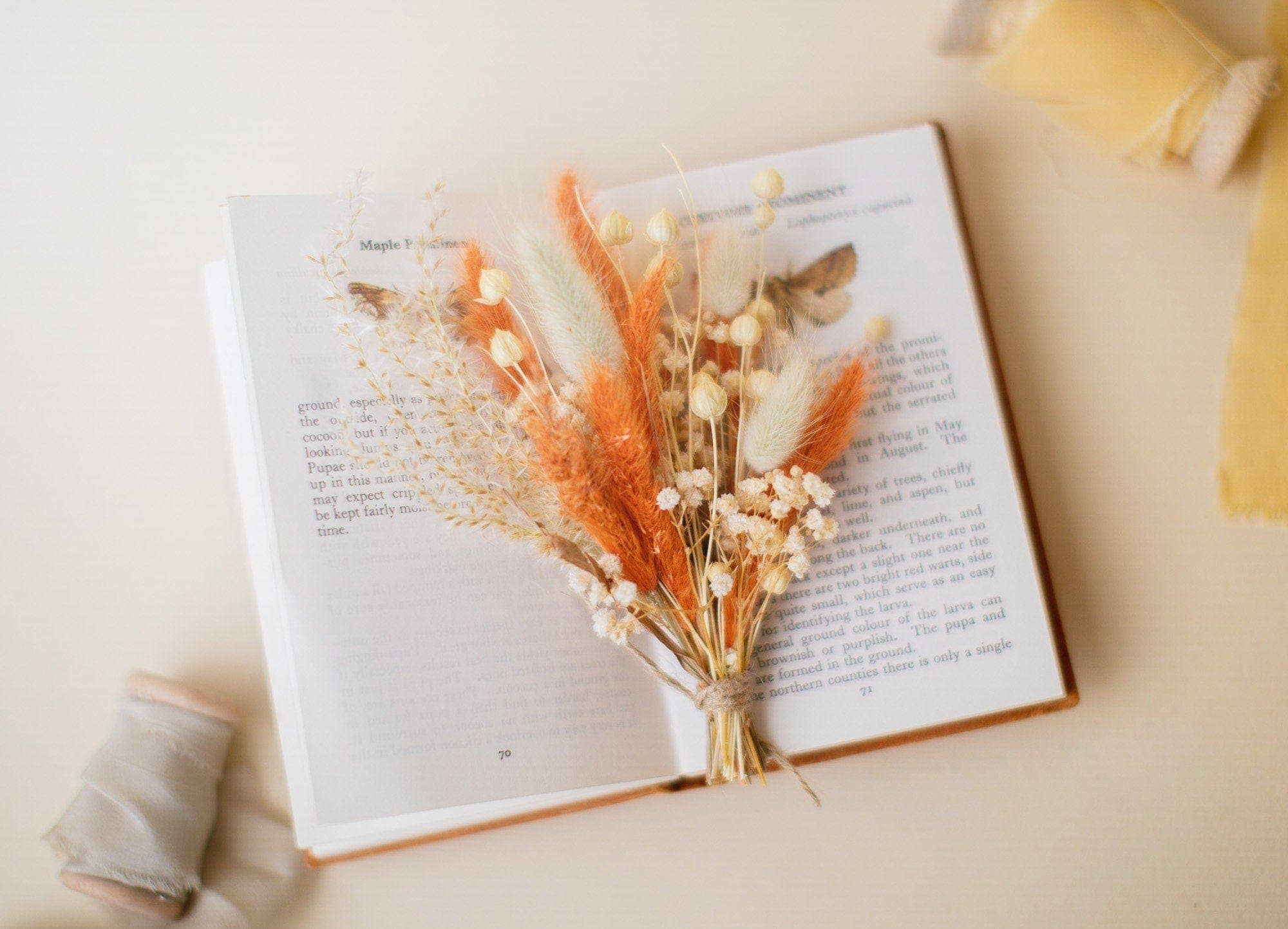 Hidden Botanics - Wholesale Dried/Pressed Flowers - Colourful Dried Flowers Bridal Bouquet - Burnt Orange & Yellow7