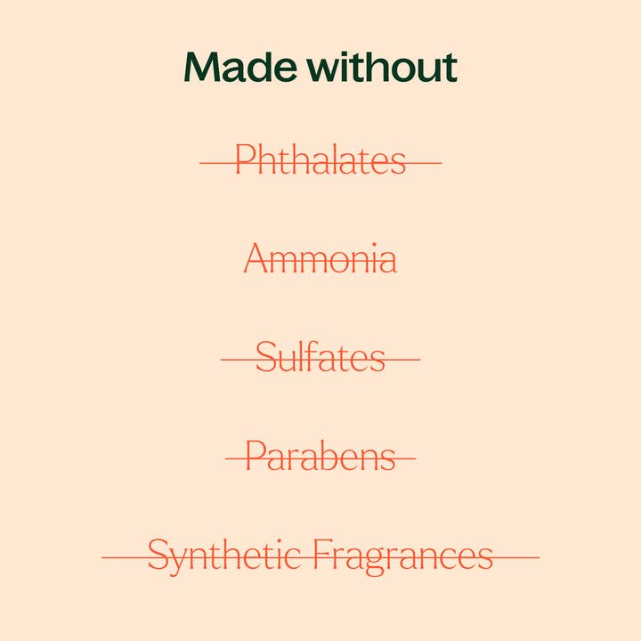 Plant Therapy - Venta al por mayor Limpiador multiusos - Limpiador Multiusos Concentrado Germ Fighter 30 ml paquete de 24