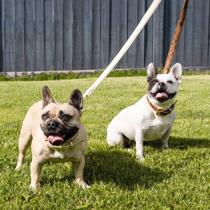 Le Dog Company - Wholesale Pet Leash - Dog - Padded Leather Leash10