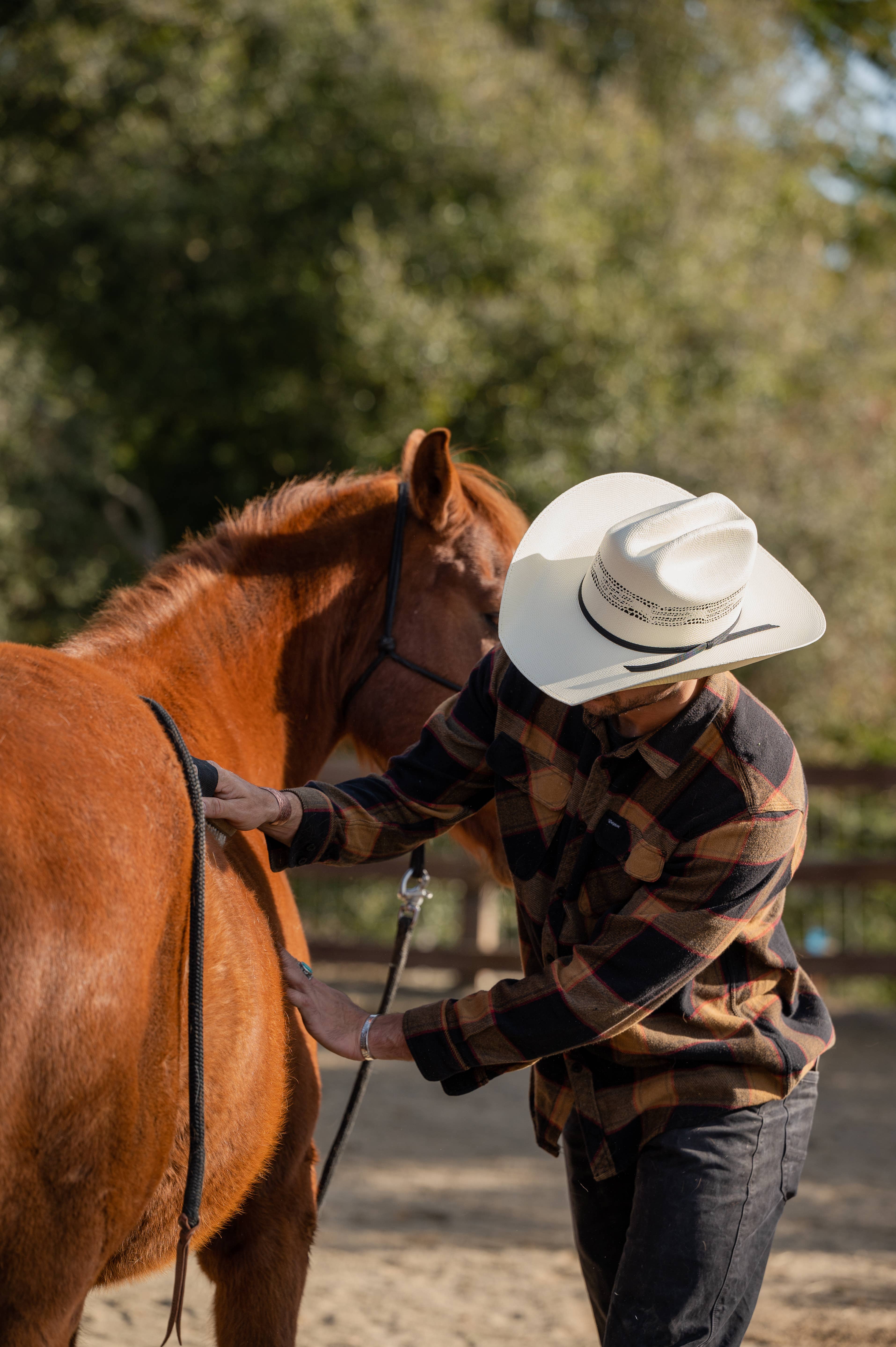 Creme Chapéu de Cowboy de Palha Ocidental - Estilo Bozeman | Tamanho Aberto 12 para venda a revendedores na Faire9