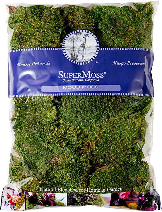 SuperMoss - Wholesale Dried/Pressed Flowers - Mood Moss Preserved3