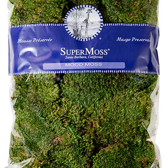 SuperMoss - Wholesale Dried/Pressed Flowers - Mood Moss Preserved3