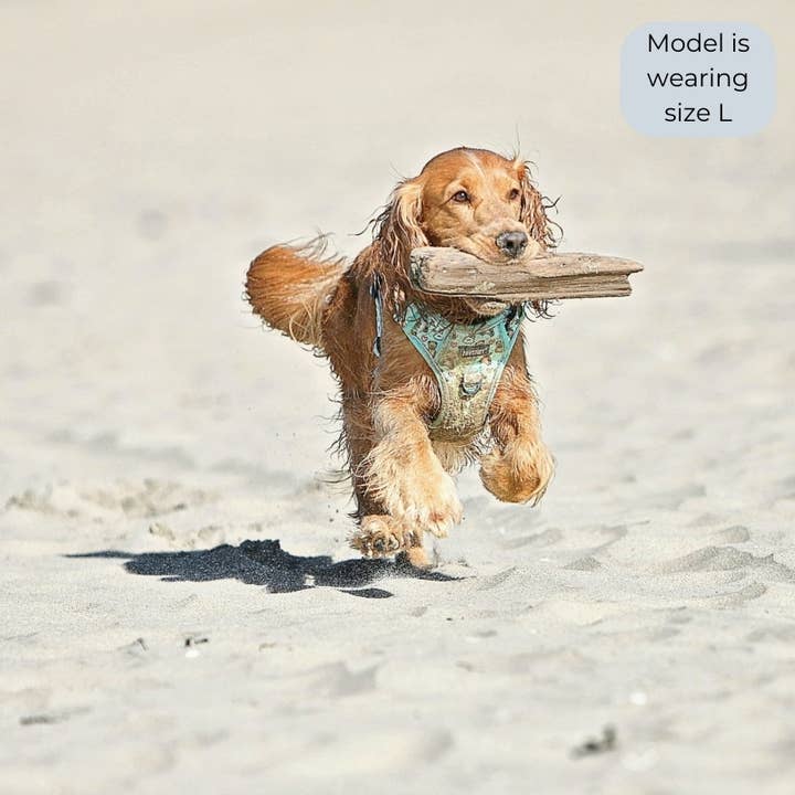 PawStory – Arnês – Cão por atacado – Peitoral Trail Buddy - Bear Hugs4