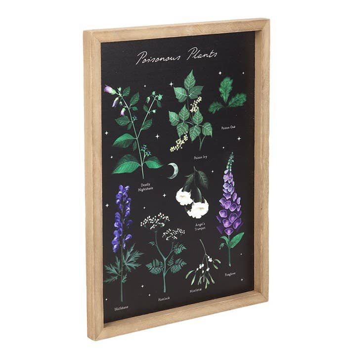 Something Different Wholesale - Vente Affiche d'art - Affiche encadrée botanique gothique des plantes toxiques2
