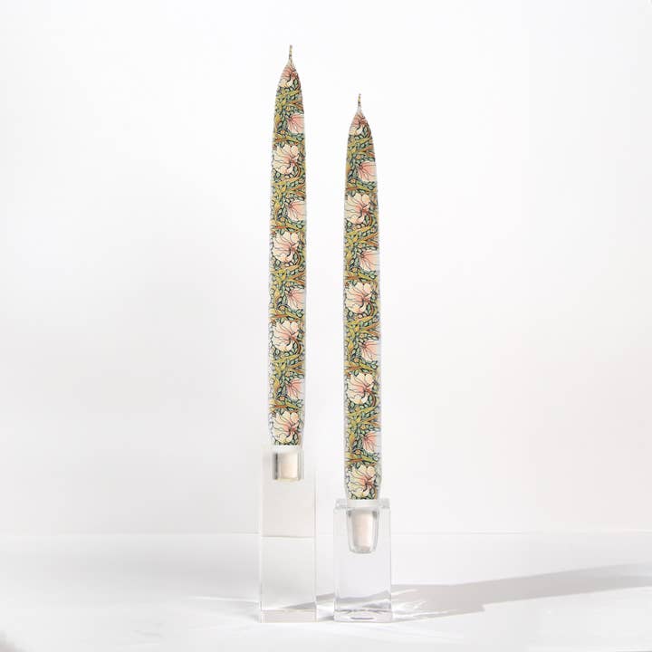 Taper Candles - William Morris - Pimpernel for wholesale by Flatyz Candles