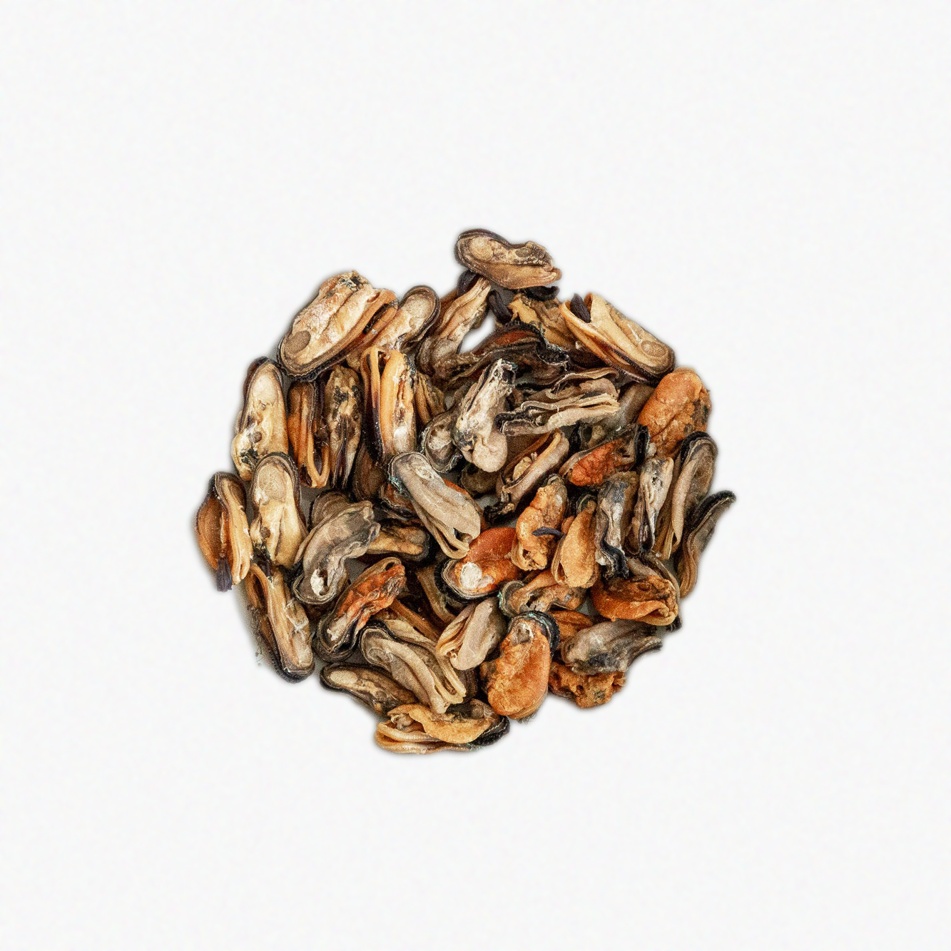 Wild n Fresh Treats – Großhandel Leckerlis – Hund – Getrocknete grünlippige Muscheln (NZ)2