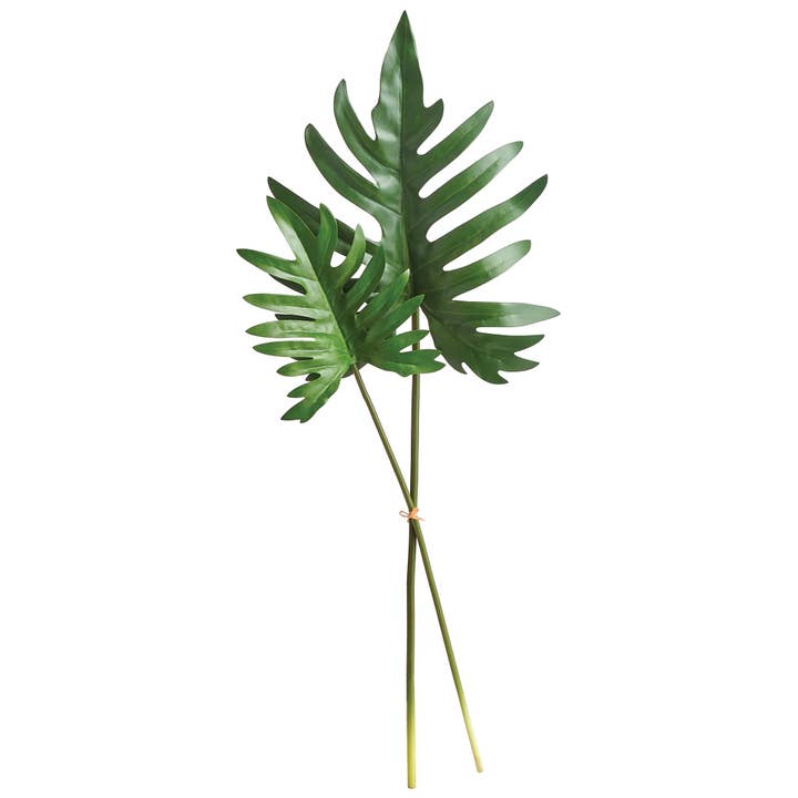 Split Leaf Selloum Stems, Bundle Of 2 for wholesale by Napa Home & Garden