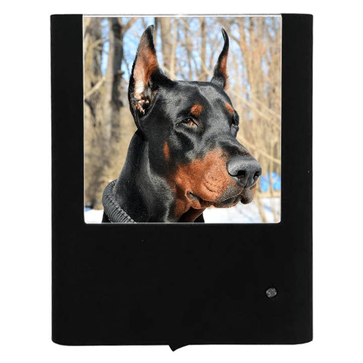 Doberman por atacado de Nightlight Studio