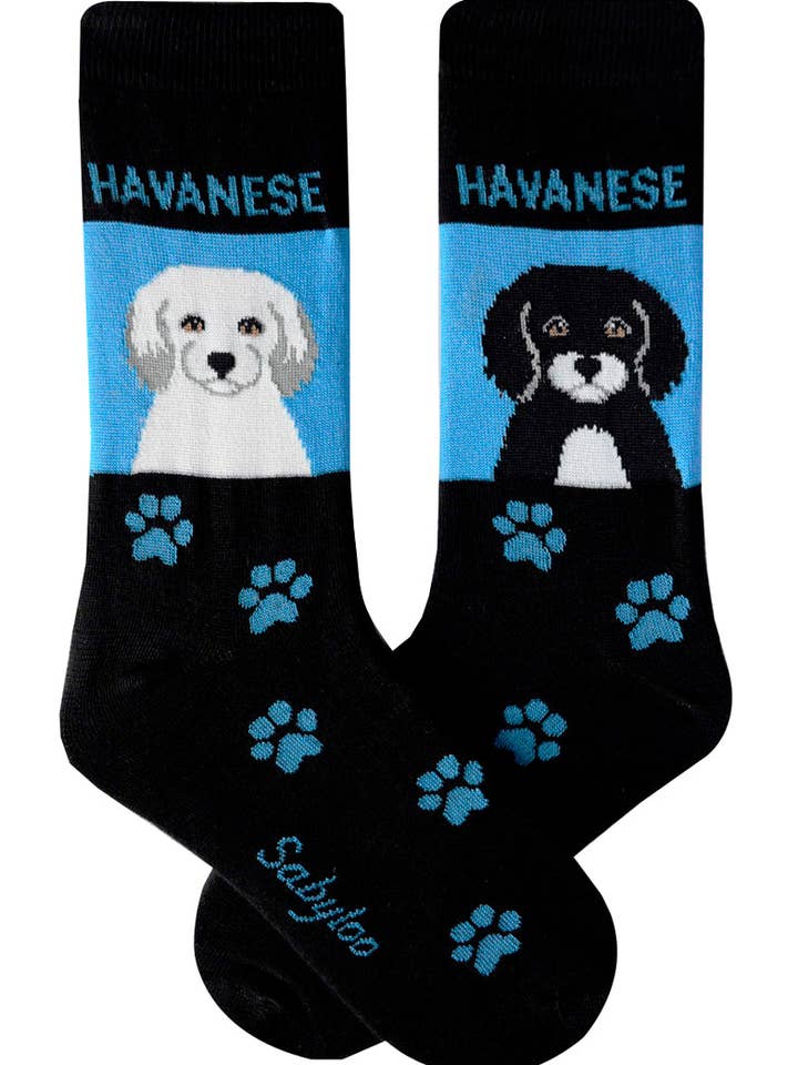 Havanese hundesokker for engroshandel hos Sabyloo