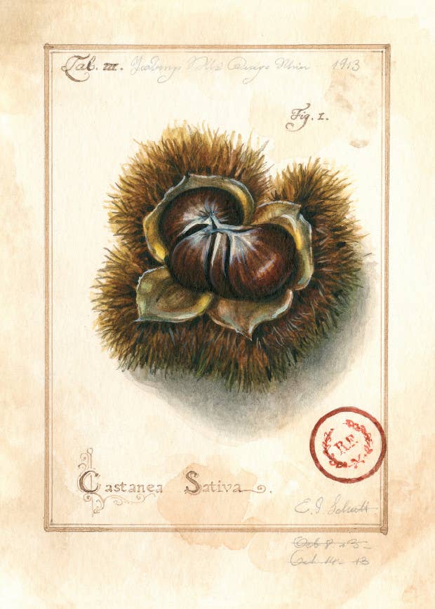 Bomo Art Budapest - Wholesale Everyday Greeting Card - Greeting Card + Envelope87