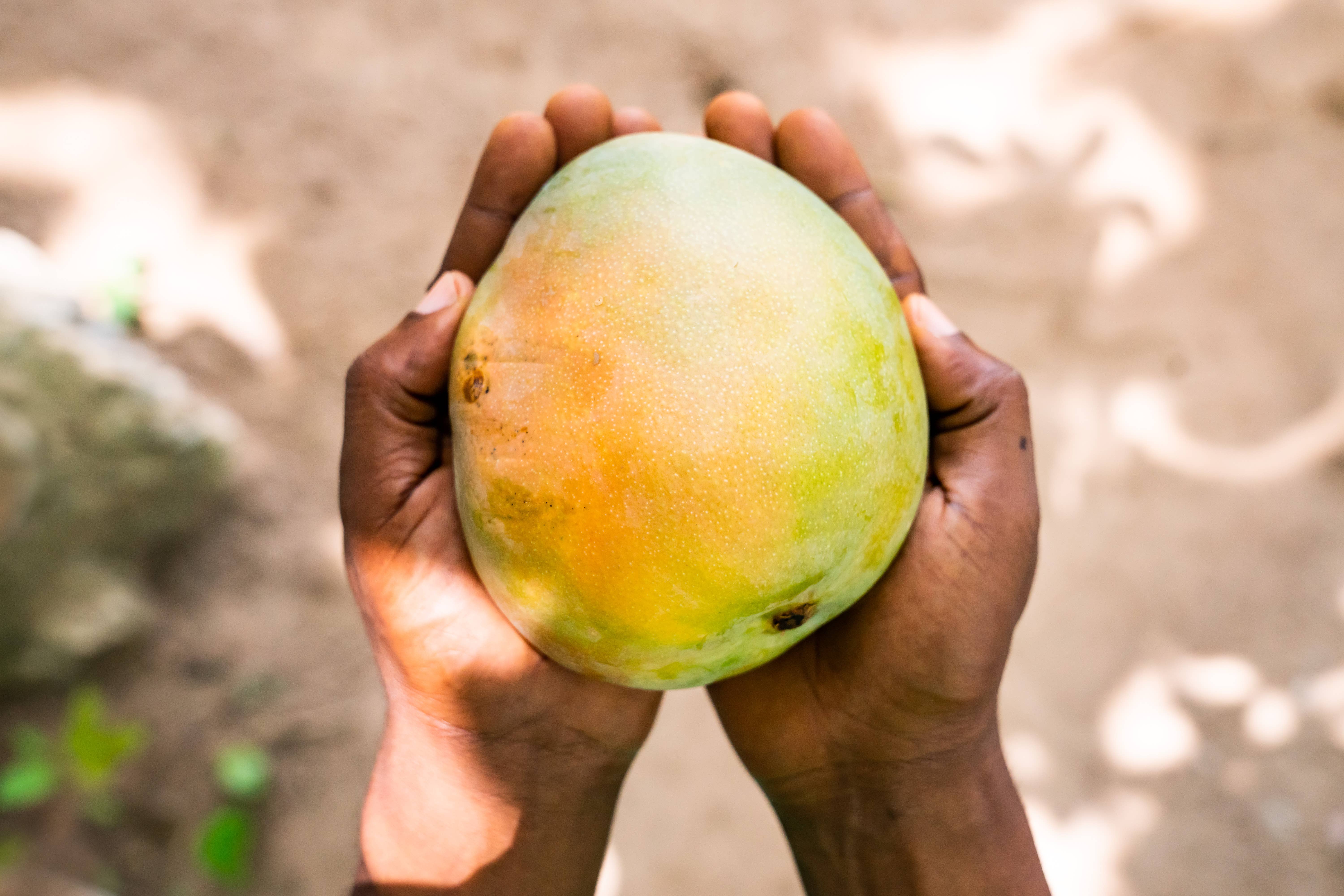 SOUTH FORTY SNACKS COMPANY - Vente Barres de céréales - Pack de 18, Barre de fruits Mangue Ananas Citron Vert (1,50 $ par unité)4