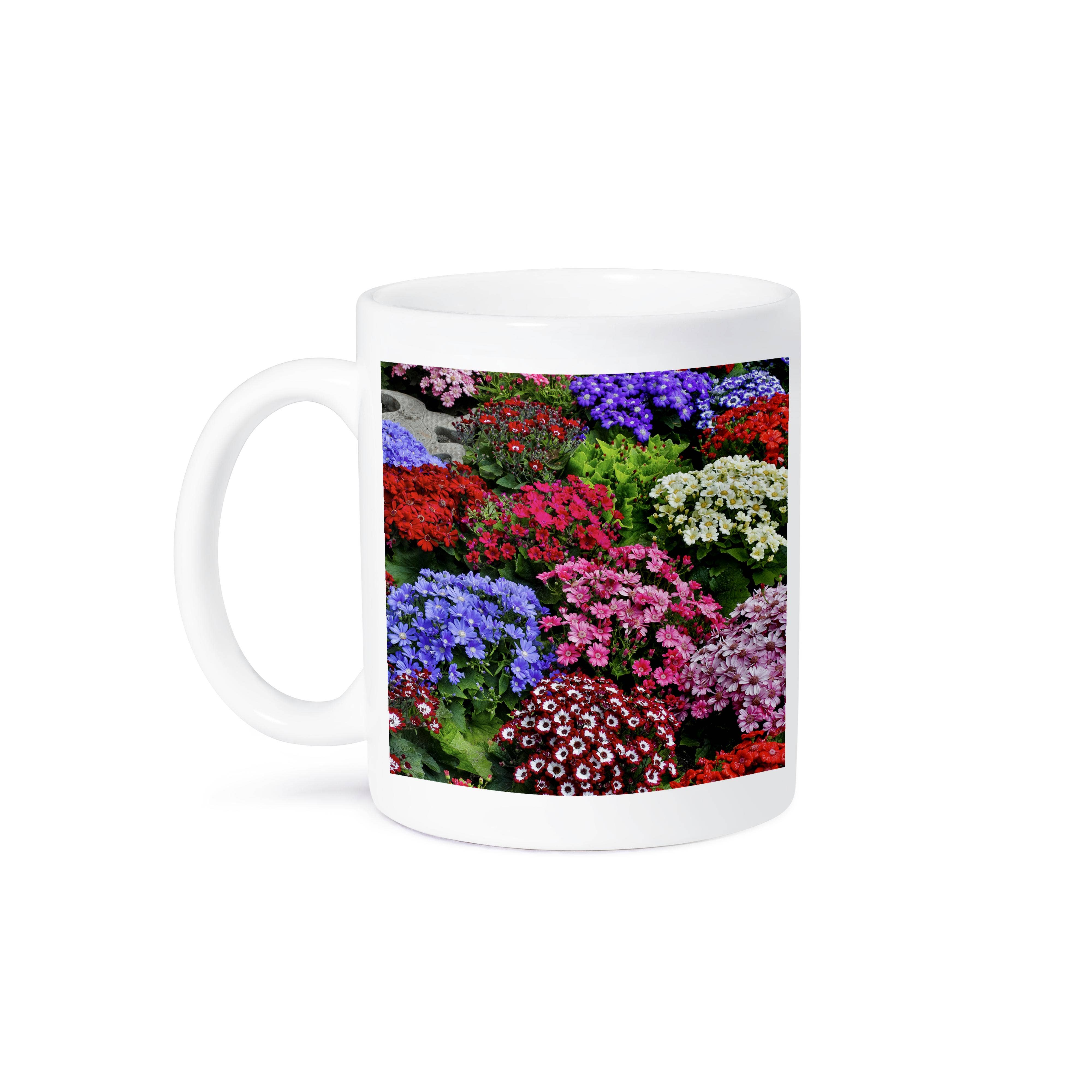 3dRose - Wholesale Coffee Mug - 3dRose, Springtime gardens, Victoria, BC, Canada. Cinerarias in bloom, Mug8