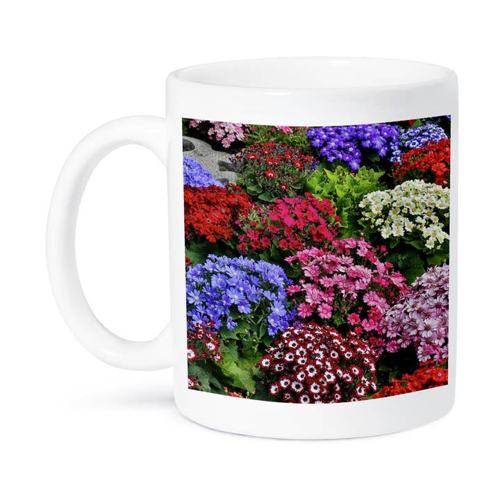 3dRose - Wholesale Coffee Mug - 3dRose, Springtime gardens, Victoria, BC, Canada. Cinerarias in bloom, Mug8