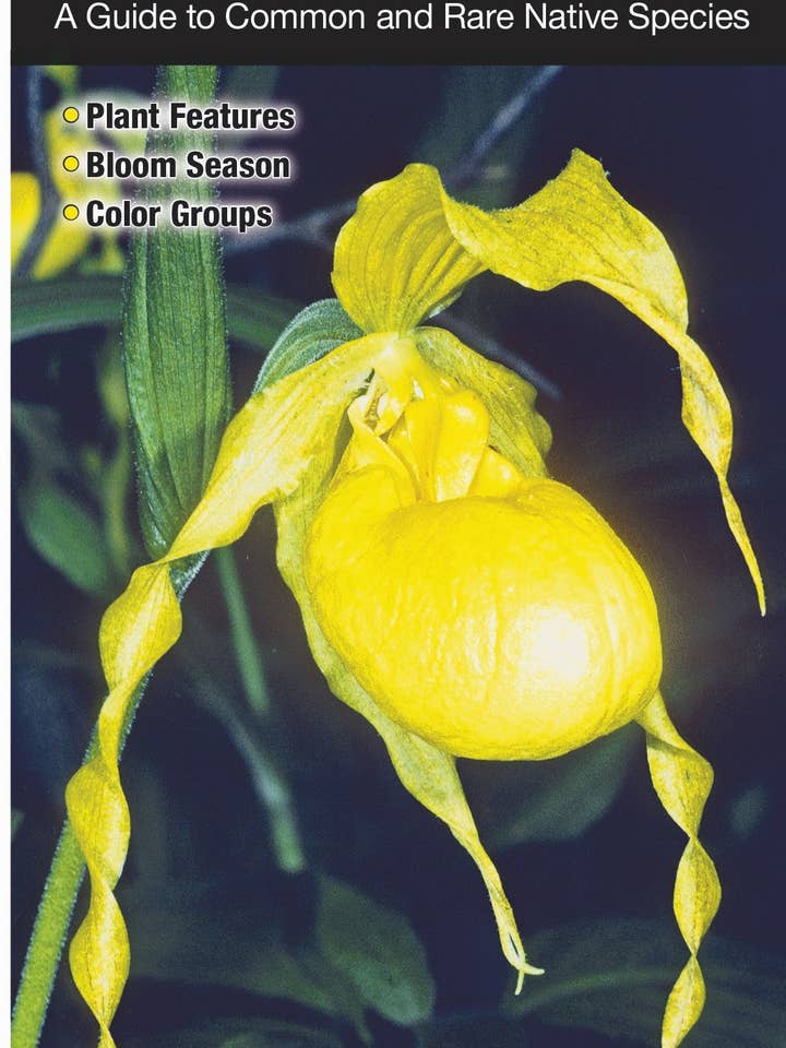 Fiori selvatici del Chesapeake occidentale per la vendita all'ingrosso da parte di Quick Reference Publishing, Inc