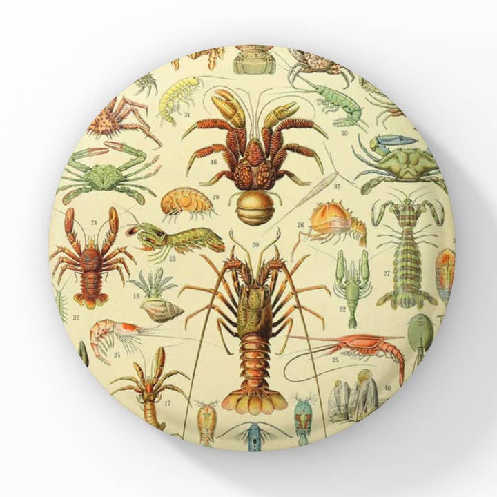 Crustacean Pin Button, Crustacean Keychain, CrustaceanMagnet for wholesale by NatureCuts