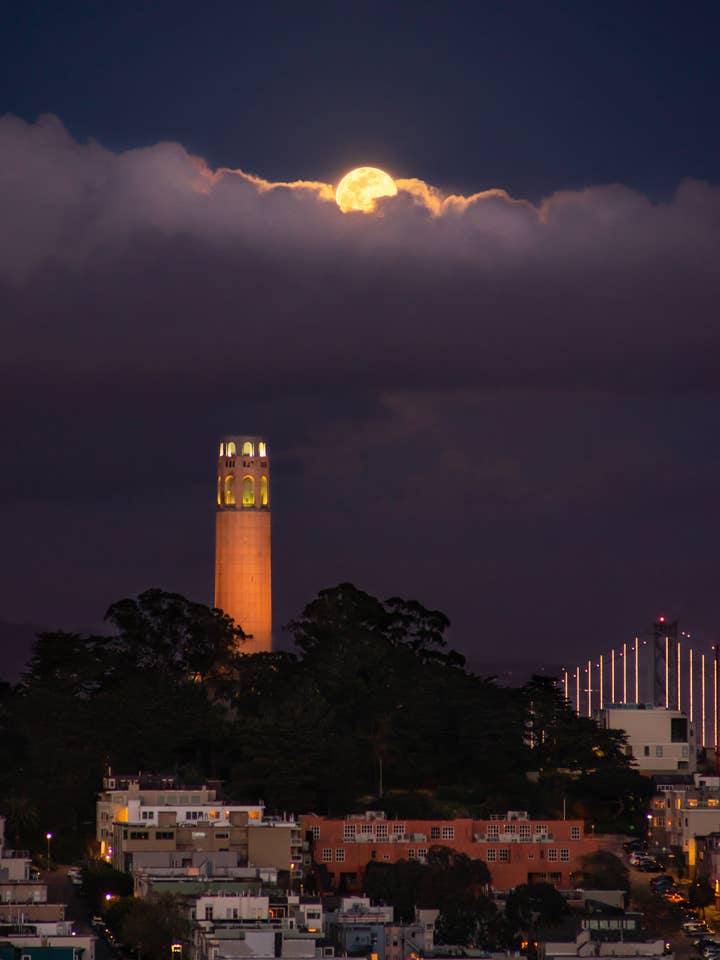 San Francisco Plakat - Moonrise Cloud Horizon - Coit Tower for engroshandel hos Posters & Puzzles