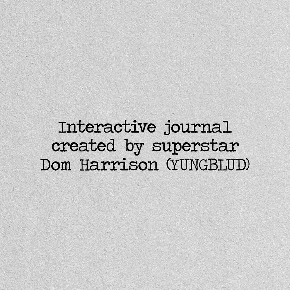 Chronicle Books - Wholesale Journal/Diary - YUNGBLUD's You Need to Exist7