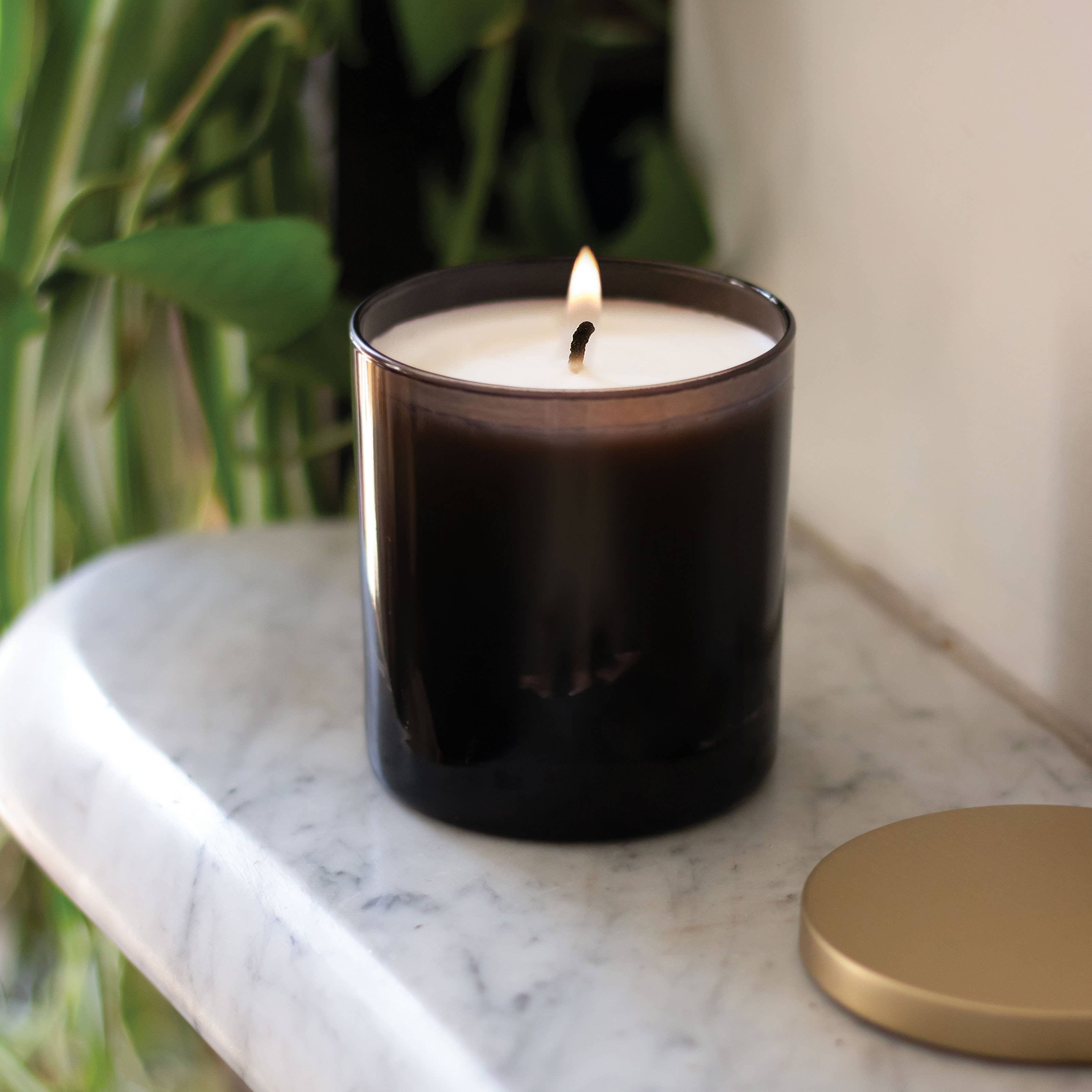 GP Candle Co. - Wholesale Jar/Filled Candle - No Label 9 oz. Black Candle with Gold Lid - Case of 241