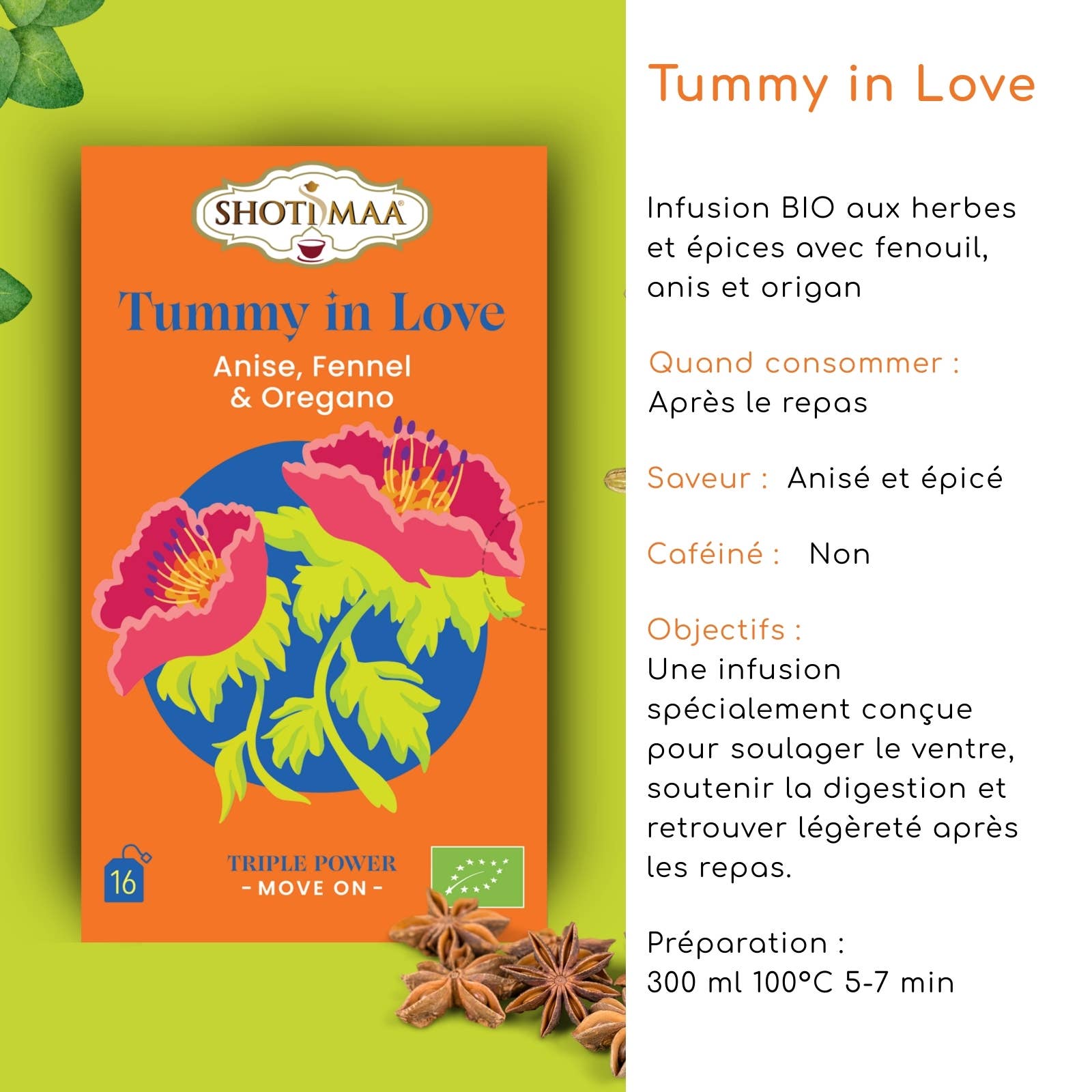 Zen'Arôme - Wholesale Health/Detox Tea - Tummy in Love – Organic Herbal Infusion fennel, anise & oregano1