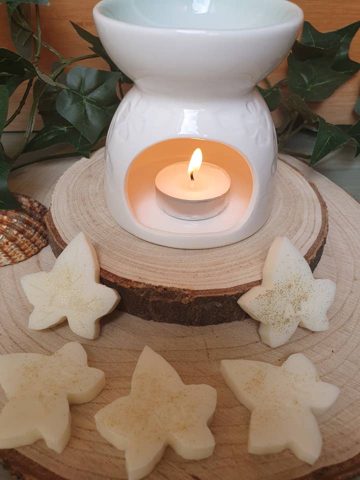 Rock Salt & Driftwood vax smälter för wholesale av Aromatic Home LTD