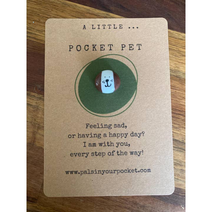 Pals in your Pocket - Wholesale Keepsake Coin/Token - Handmade Anxiety Relief Pocket Pet Worry Rock
