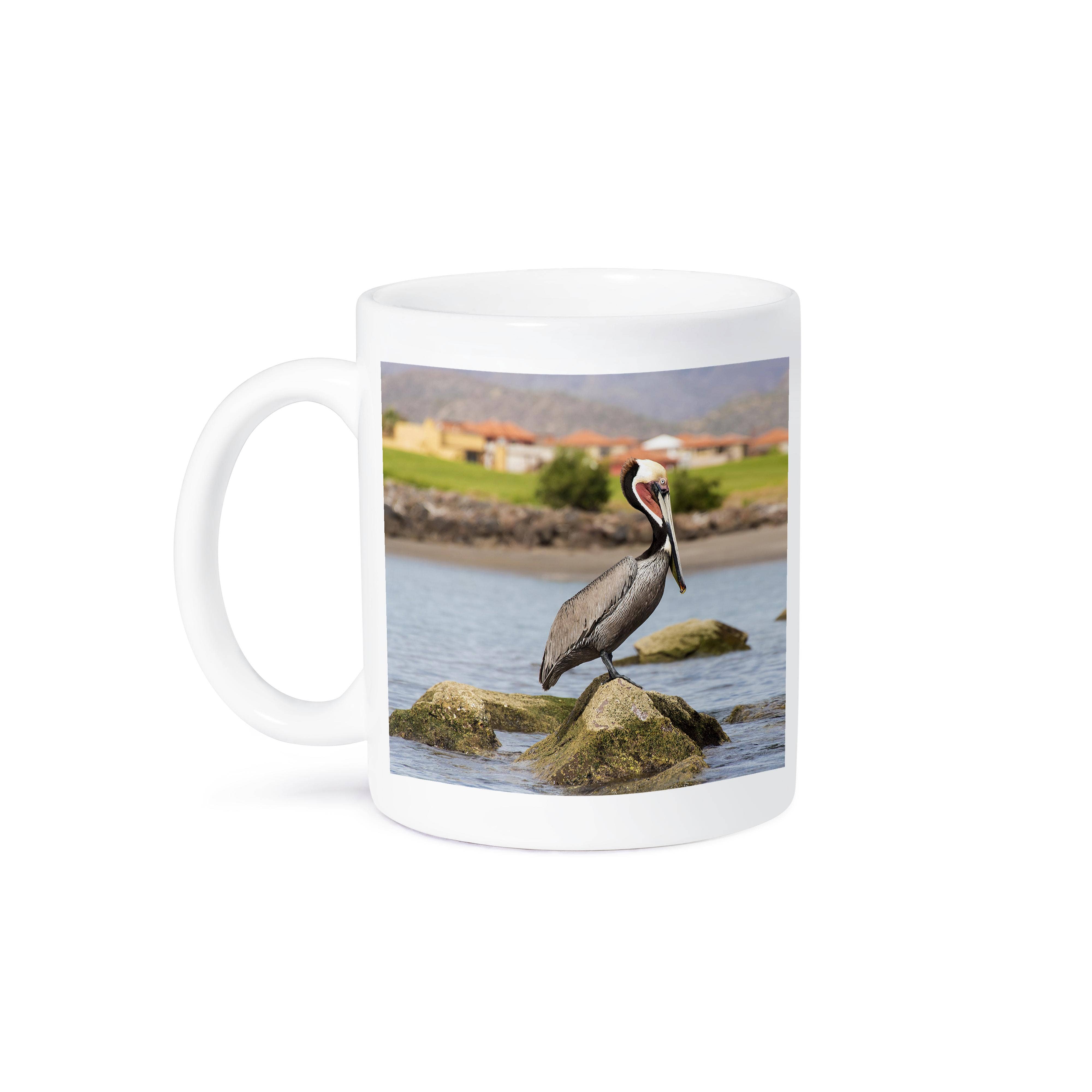 3dRose - Wholesale Coffee Mug - 3dRose, Mexico, Baja California, Loreto Bay. Brown Pelican breeding plumage., Mug8