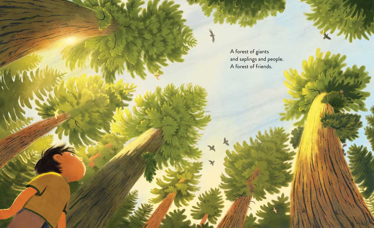 Simon & Schuster - Wholesale Preschool Book (3-5) - Everything Trail by Meg Fleming5