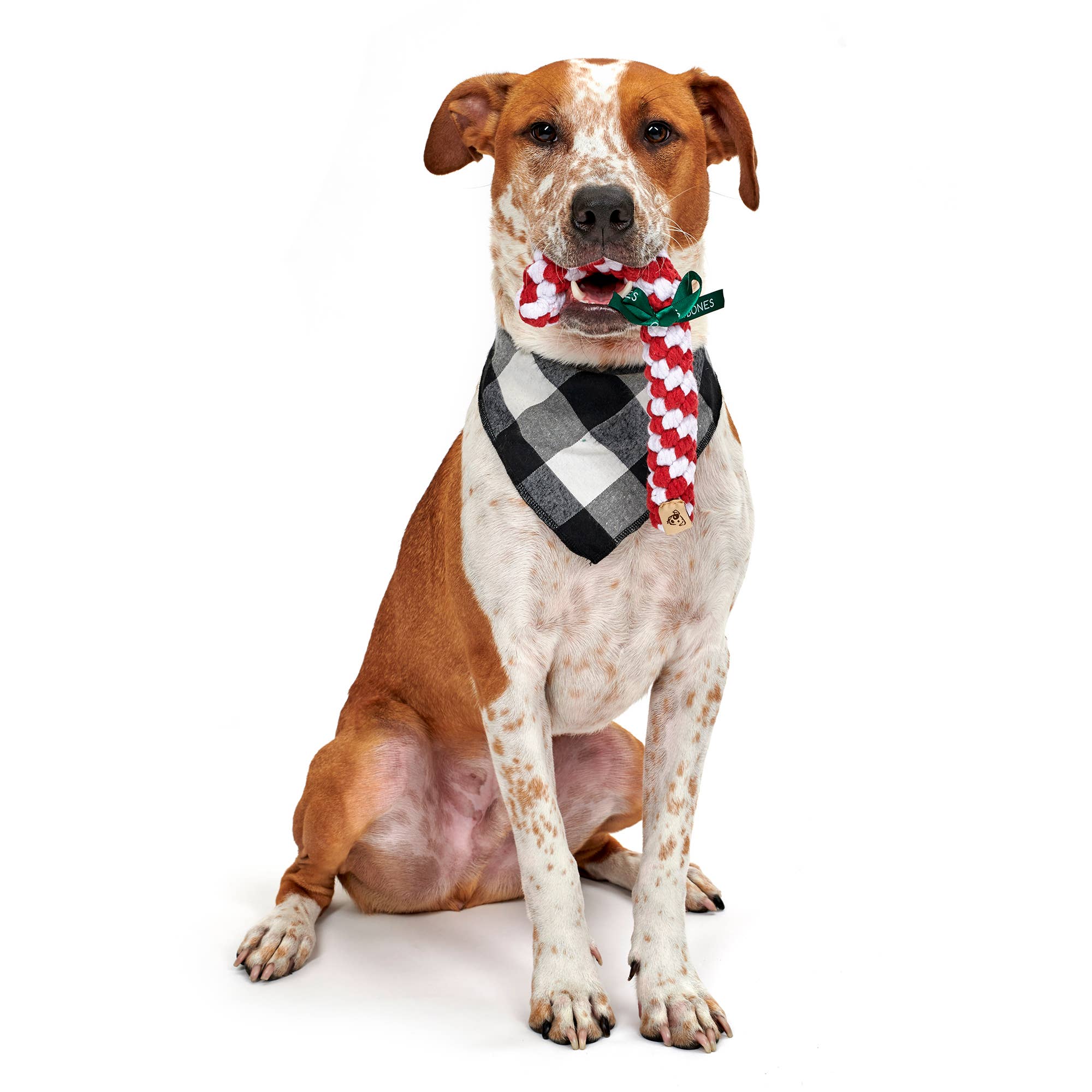 Jax & Bones - Vente Jouet – chien - Jouet pour chien Candy Cane Rope (Jumbo - 12 pouces)1