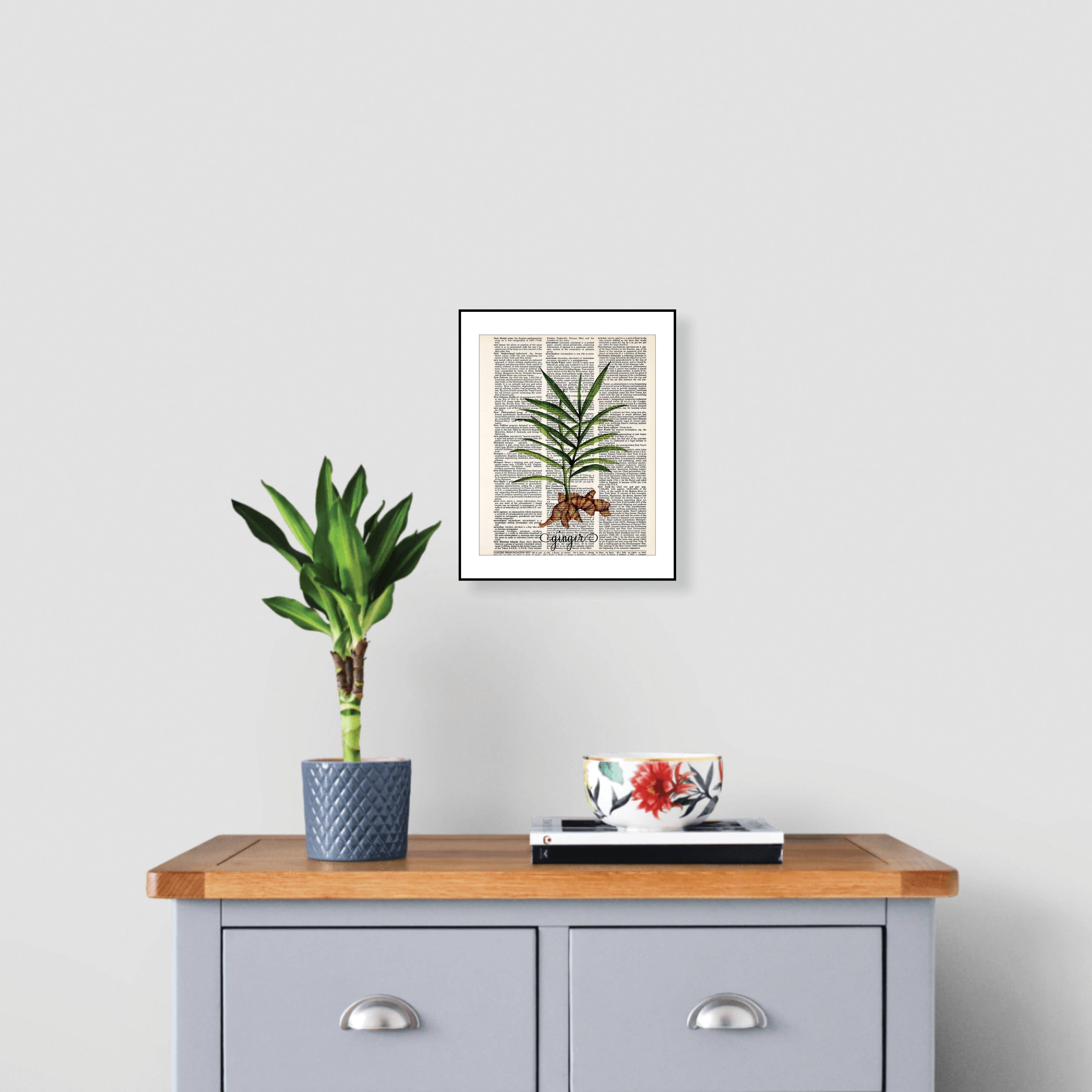 Blue Twist & Co - Wholesale Art Print - Botanical Ginger Print- Kitchen Art, Natural Medicine, Art1