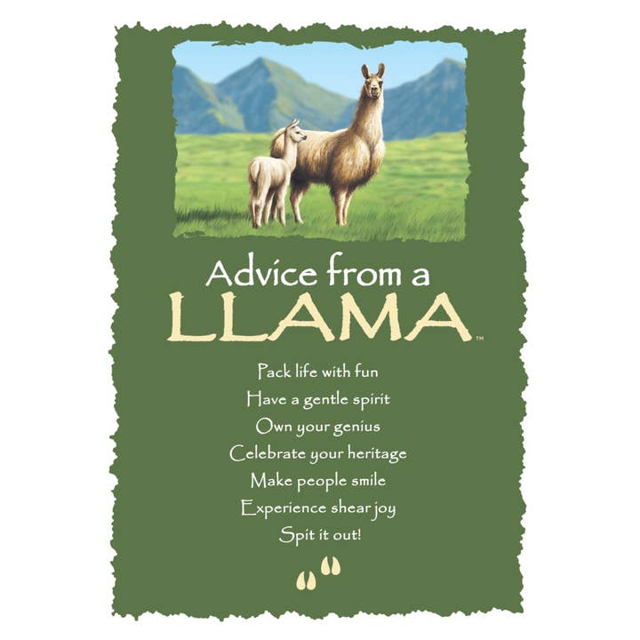 Advice from a Llama Greeting Card - Blank for wholesale by Advice for Life by Your True Nature