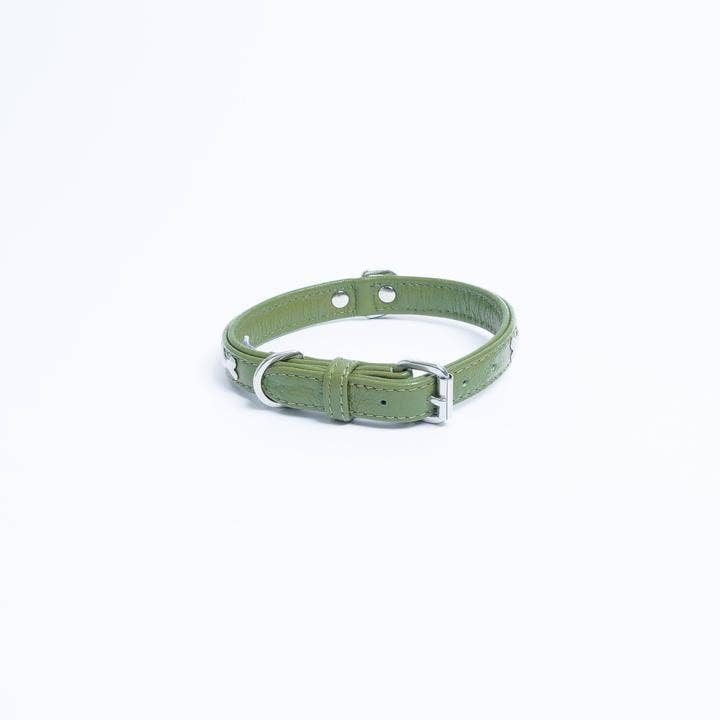 Angel Pet Supplies Inc. - Vendita all'ingrosso Collare - Cani - Collare per cani Rotterdam Bones di ANGEL™15