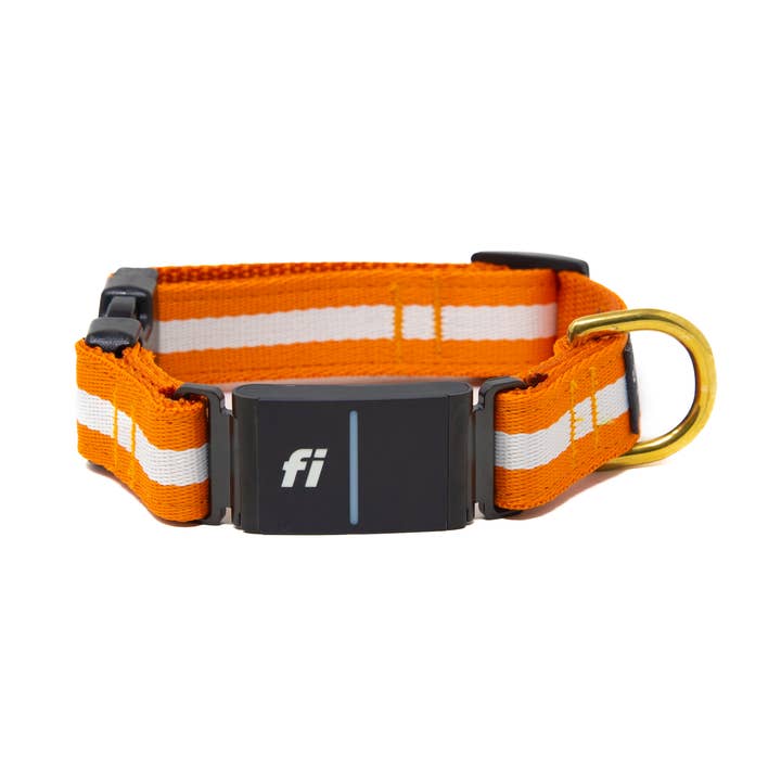 Fi Collar Band - Orange Crush for wholesale by LUCKY + DOG
