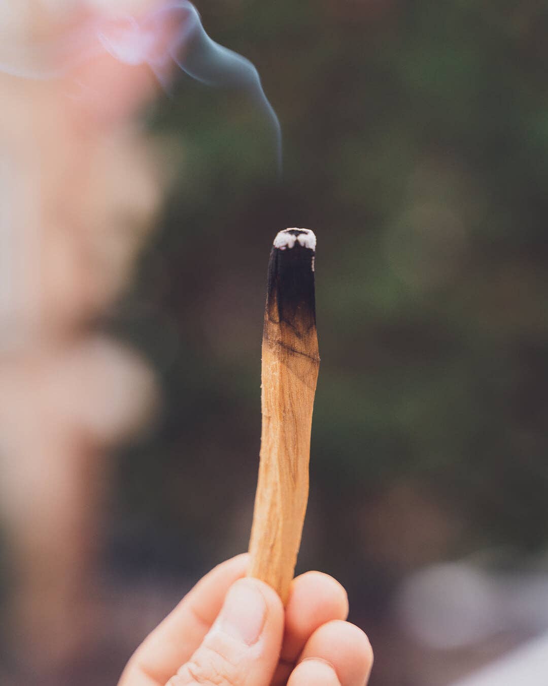 Oh Shanti - Wholesale Sage Bundle - Palo Santo & Selenite cleaning kit1