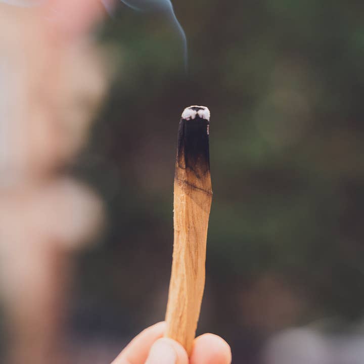 Oh Shanti - Wholesale Sage Bundle - Palo Santo & Selenite cleaning kit1