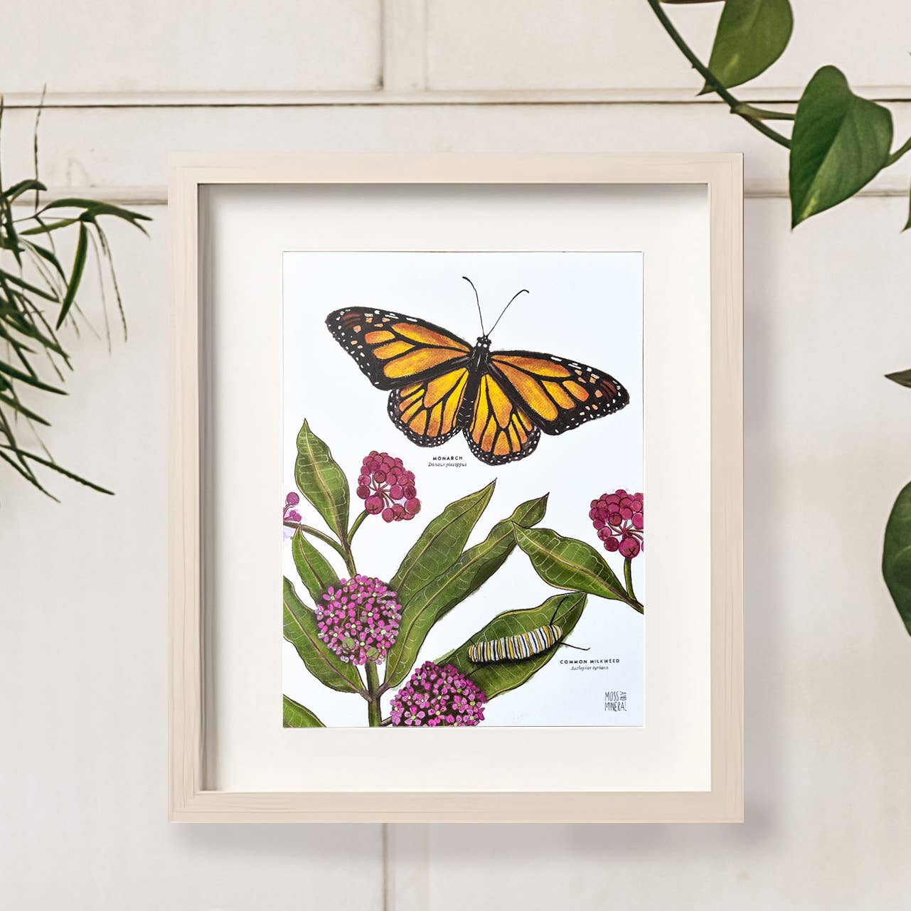 Moss and Mineral - Wholesale Art Print - Monarch and Milkweed Print, Botanical Illustration 6
