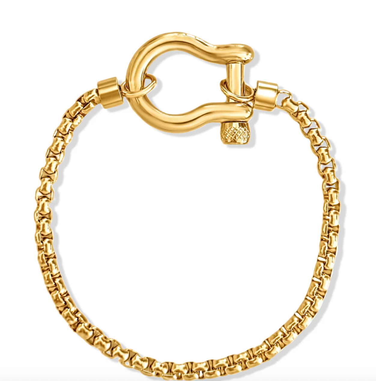 HoopLa – wholesale Charm/dangle bracelet – Horse Bit Carabiner Bracelet- Steel - Charm Bracelet 14K PVD2