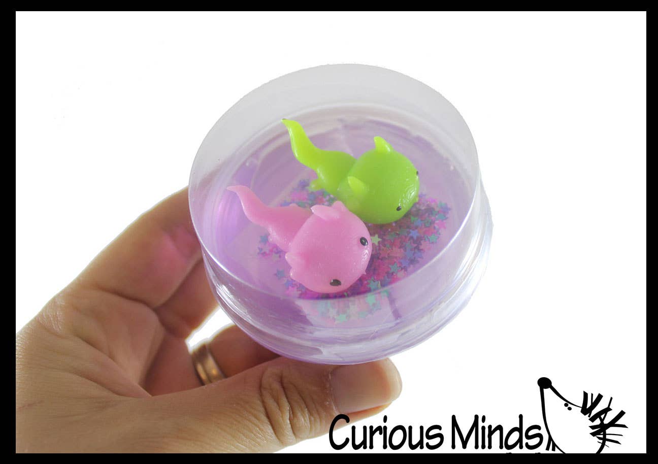 Curious Minds Toys - Wholesale Putty/Slime - Kids - 1 Axolotl and Putty - Putty with 2 Axolotl Figures - Squishy