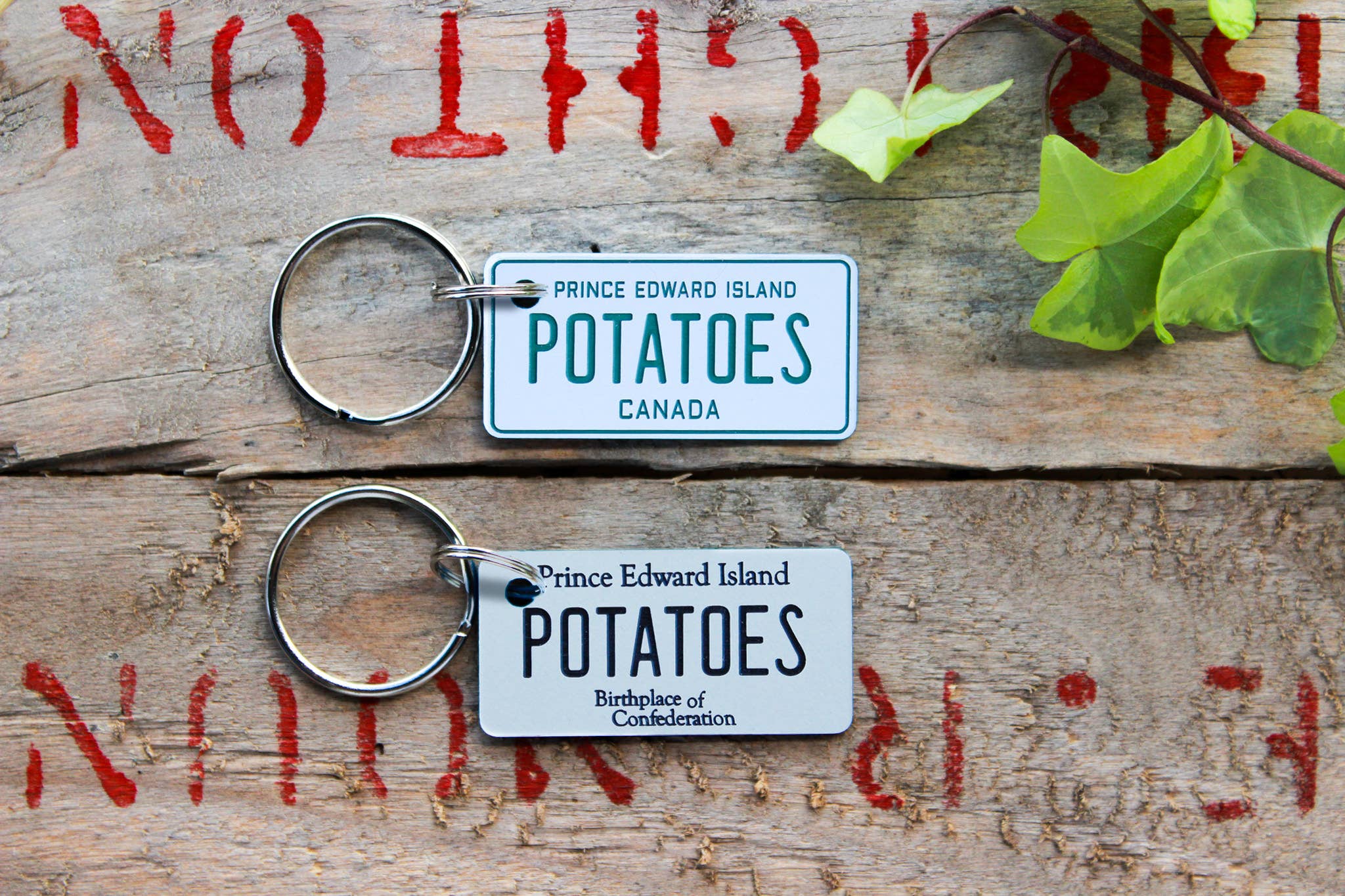 The Laundry Room Shop – Porta-chaves - Unissexo por atacado – Porta-chaves Personalizável de Plástico Gravado Personalizável - Canadá10