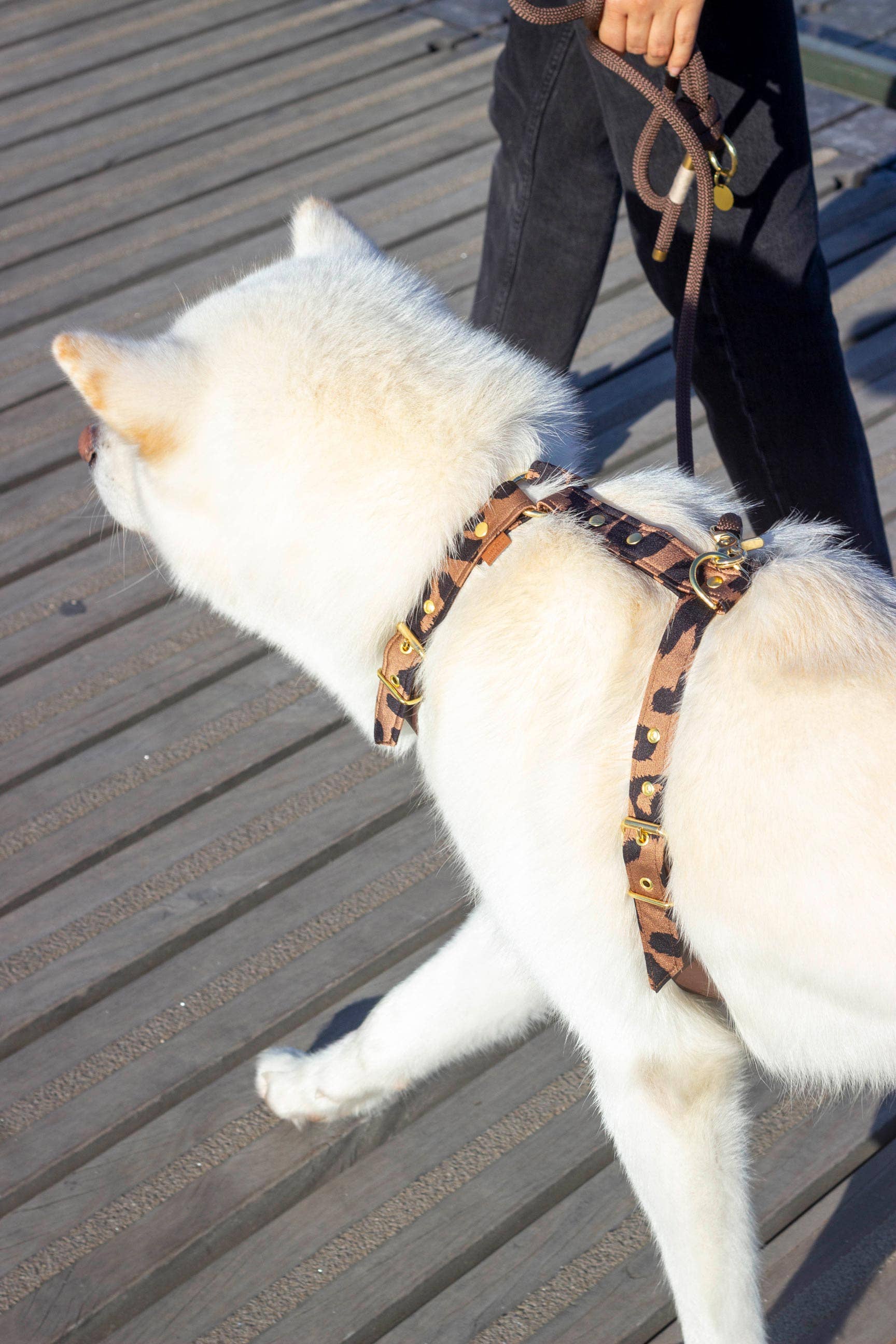 Atelier Markiz - Wholesale Pet Harness - Dog - Wild Harness3