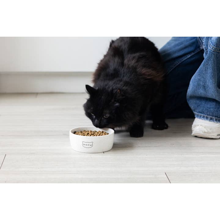 Pearhead - Wholesale Pet Bowl - Cat/Dog - Speckled Cat Bowl, Small