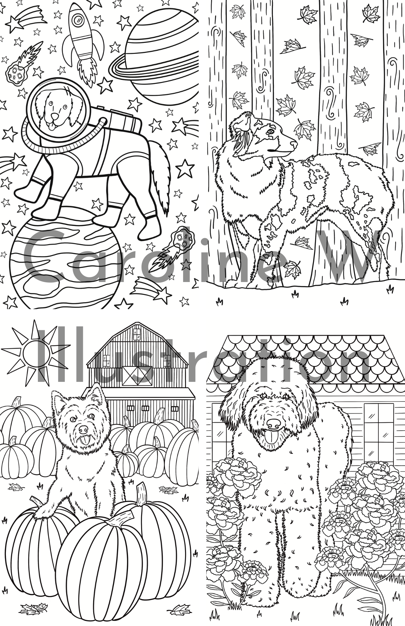 Caroline W Illustration - Wholesale Coloring & Activity Book - Adult - Dog colouring book (5.5 x 8.5 inches, 12 illustrations)3